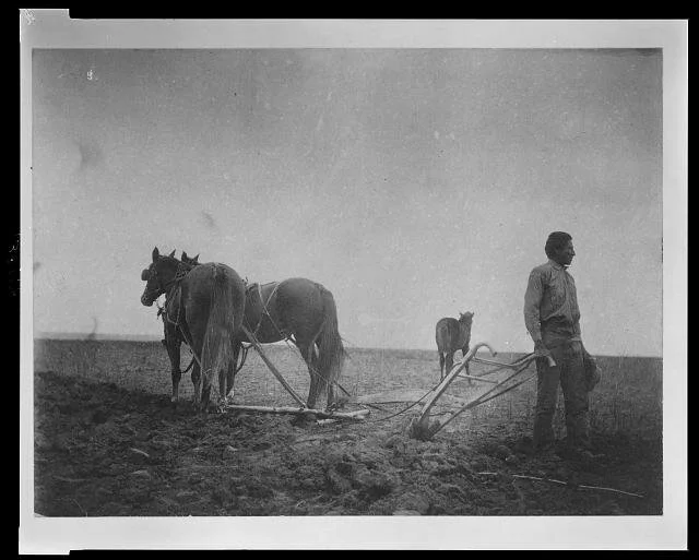  Native American man with horse and plow while attending Hampton Normal and Agricultural Institute, Hampton VA, c. 1900, courtesy of the library of congress 
